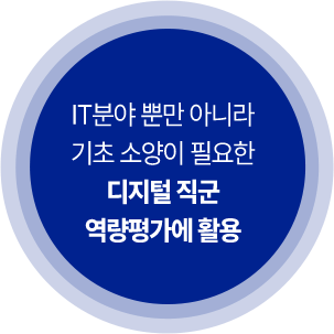 ITºÐ¾ß »Ó¸¸ ¾Æ´Ï¶ó ±âÃÊ ¼Ò¾çÀÌ ÇÊ¿äÇÑ µðÁöÅÐ Á÷±º ¿ª·®Æò°¡¿¡ Ȱ¿ë